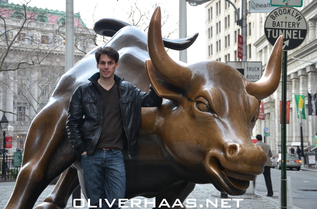 new-york-stock-exchange-bull